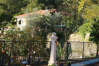 Casa del Papiro-Grande