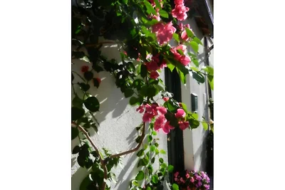 Casa Margherita