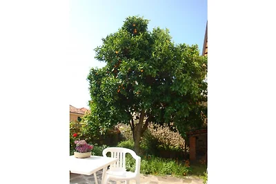 Casa Margherita