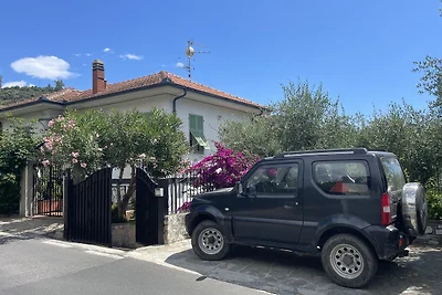 Magnolia Sopra IT 008031C2QBMZ8V9T