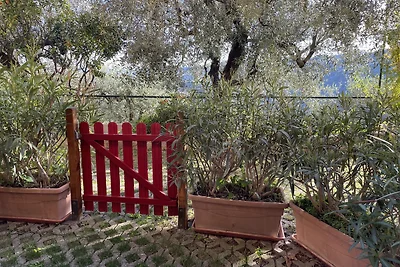 Casa Lella IT008031C2N39KPLWP