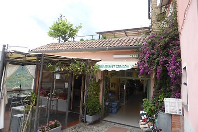 Loggia sul Faudo, 00822-AGR-0002