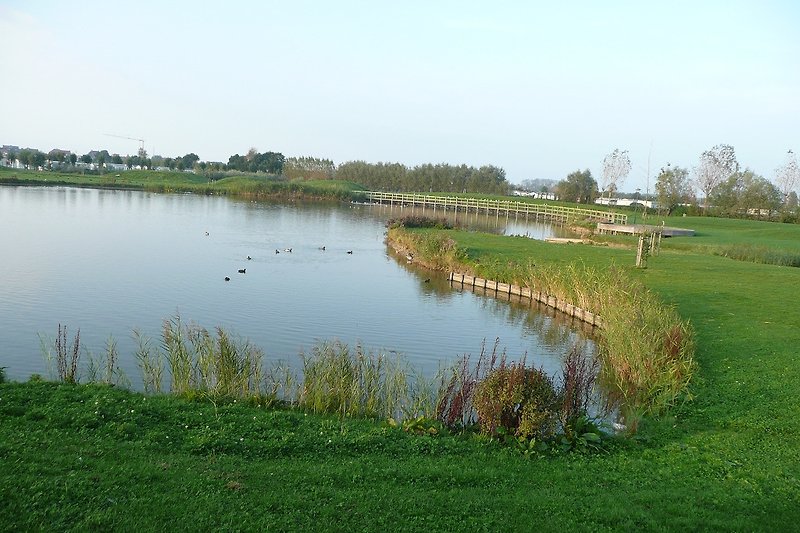 Grasduinenpark Teich