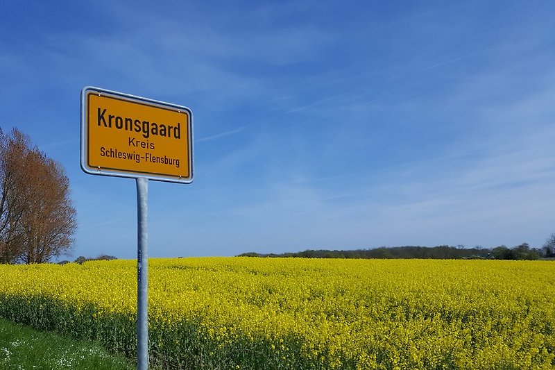 Willkommen in Kronsgaard