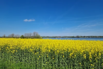 Ferienwohnung -Südwind