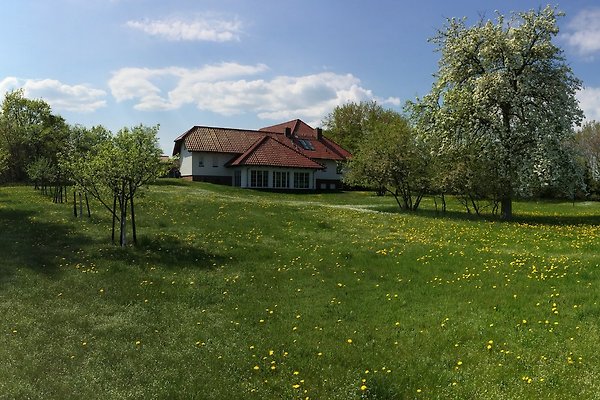 Ferienwohnung Ueckermünde