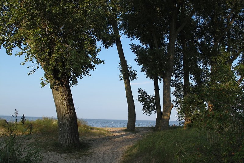 Vandaag gaan we naar het strand.