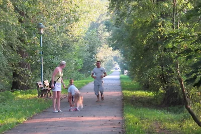 Heideweg-FeWo 02