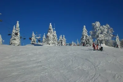 Unser Jagdhaus - Hüttenurlaub in BY