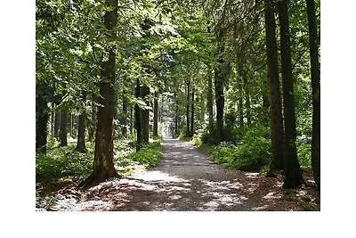 Urlaub im Bayerwaldblockhaus
