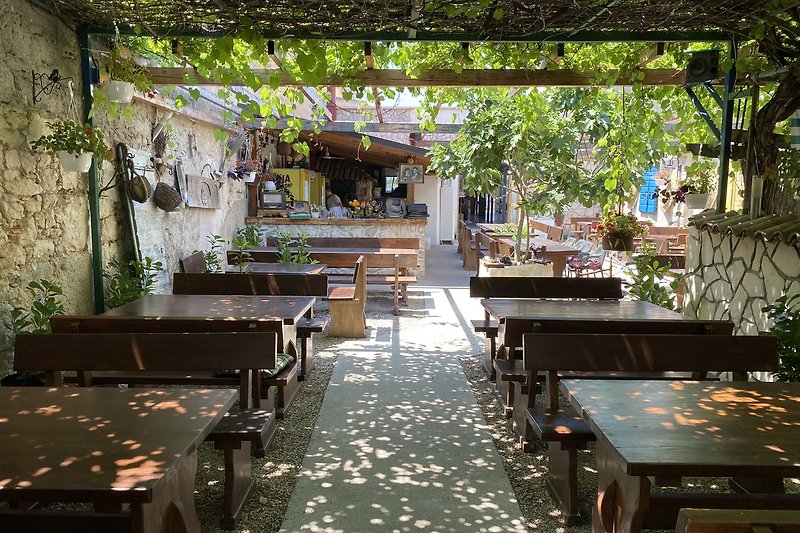 Our Spaladium restaurant offers you excellent local food in a superb Mediterranean setting area