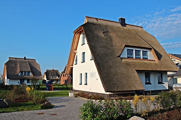 Ferienwohnung Dranske