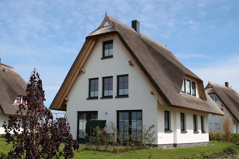 Seeschwalbe im Erdgeschoss
