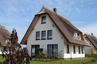 Seeschwalbe