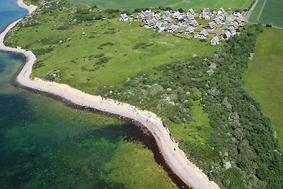Riccio di mare