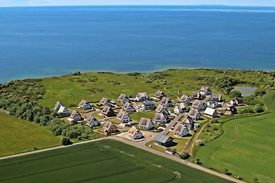 Riccio di mare