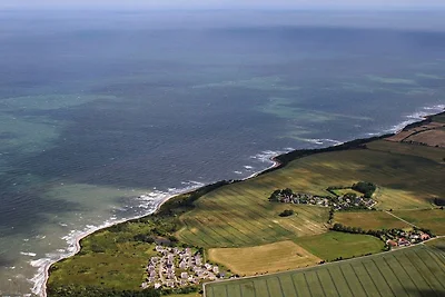 Riccio di mare