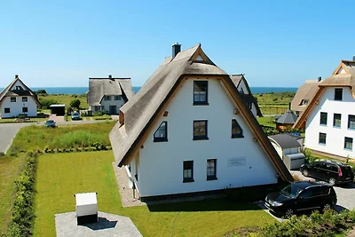 Stella marina