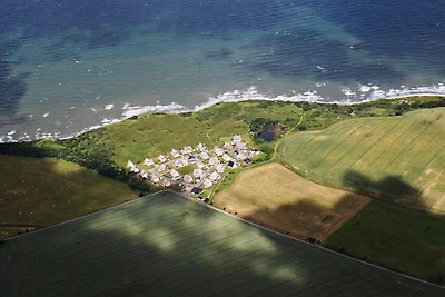 Stella marina
