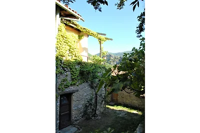 santa libera