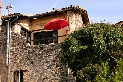 santa libera