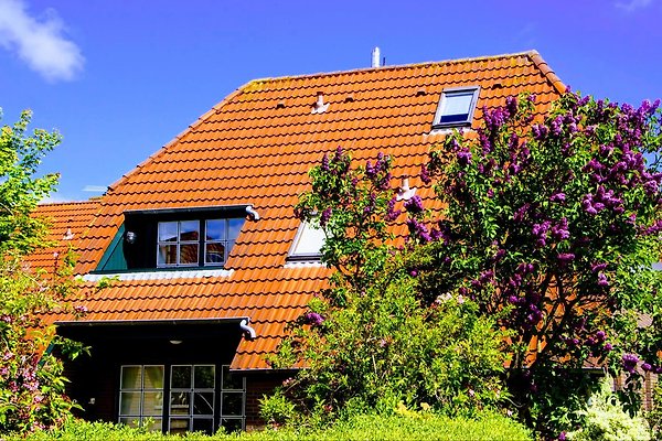 Ferienwohnung Carolinensiel