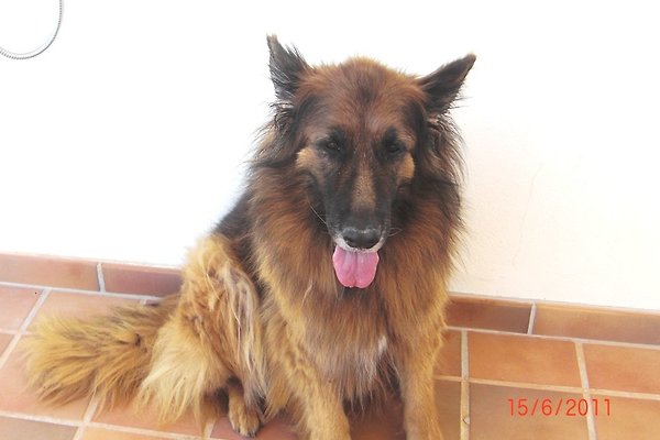 Frau B. Voss Frau B. Voss