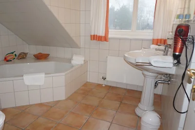 Case di campagna con sauna