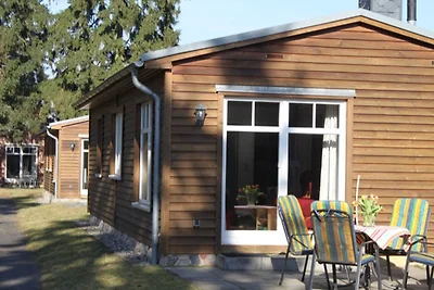 Cabina di legno con sauna