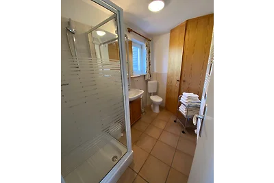 Cabina di legno con sauna