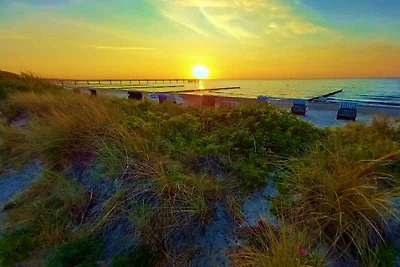 Ostsee-Pension Bad Doberan