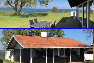 Hondenvakantie over Silvester