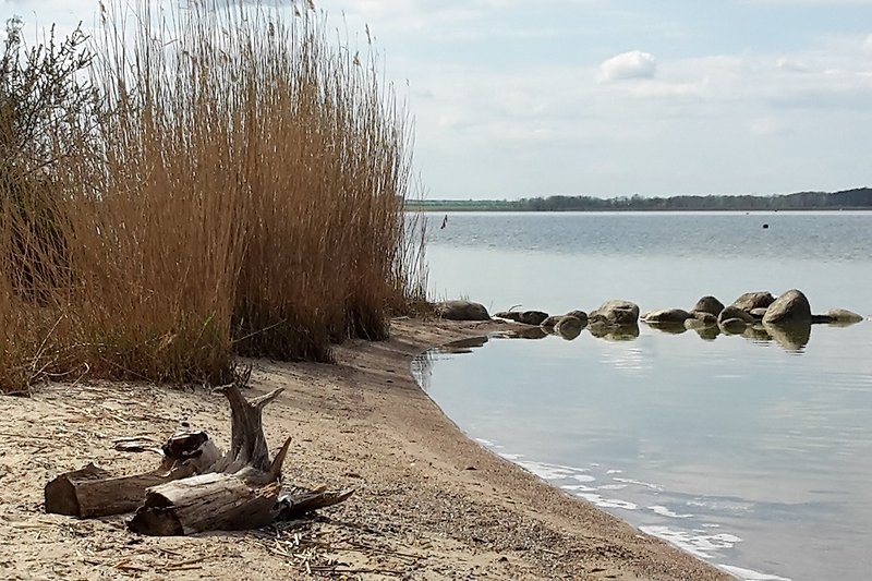 Halbinsel Gnitz / Insel Usedom- Achterwasser