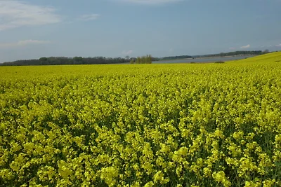 Haus Roland Fewo Schwimmbad Sauna