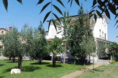 "Apartmani Ivana"