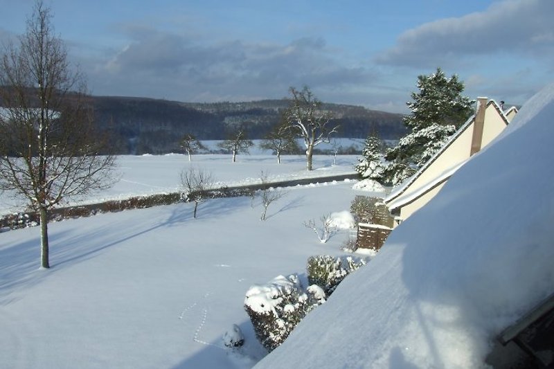 Blick vom Dachfenster hinten im Winter