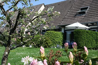 Charmantes Ferienhaus Pfaffenbronn