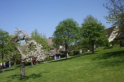Charmantes Ferienhaus Pfaffenbronn