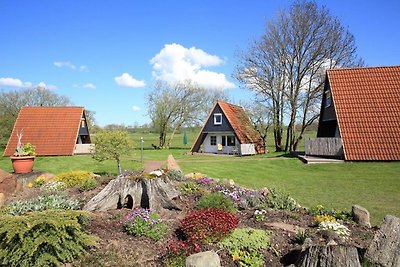 Holiday house on meadow land 3