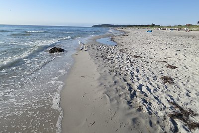 Am Wiesenbiotop II