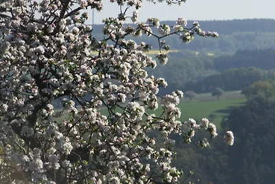 Willkommen! Ferienwohnung-Hochwald