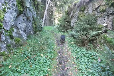 Appartamento di vacanza-Hochwald