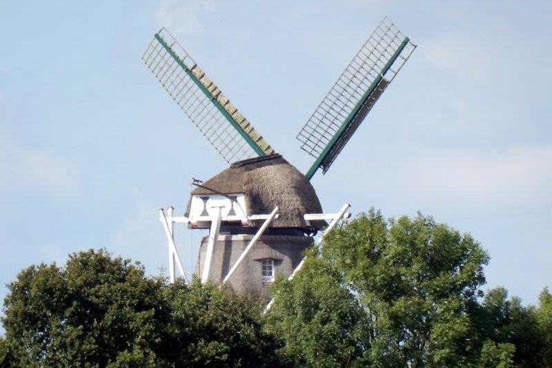 alte ostfriesische Windmühle