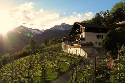 Appartement & Weingut Linter