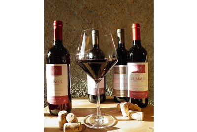 Appartement & Weingut Linter