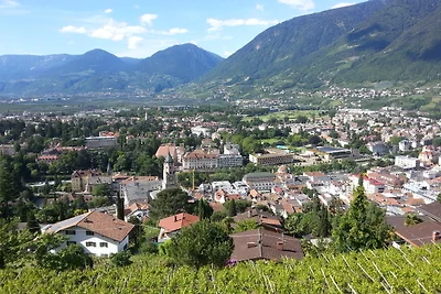 Ferienwohnung Panorama