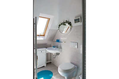 Kattenhus kleines Appartement
