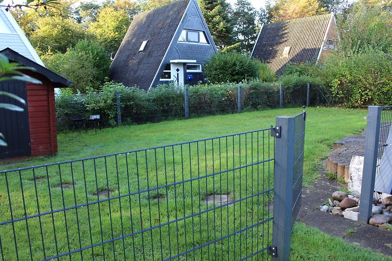 Fenced garden area