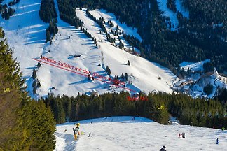 Dseigner-Chalets Studio