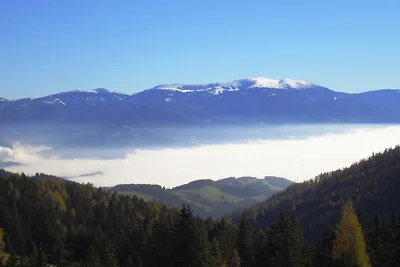 Alm Chalet Wurzelhütte